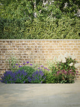 products/SotoHouse2mPartialWide-1.jpg